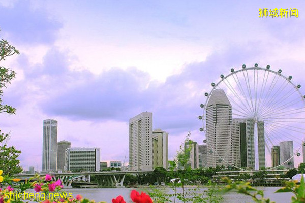 CRS 税收居民身份如何认定（企业版）