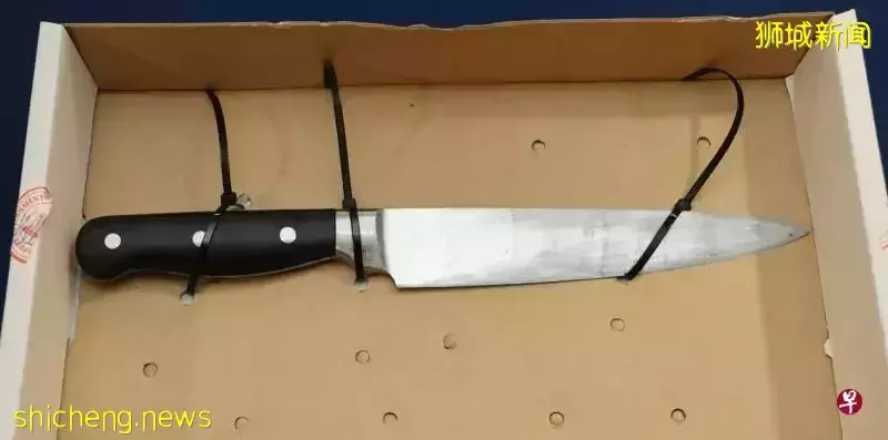 新加坡64岁男子持刀冲向警员,遭开枪击毙,居民听到骚乱声