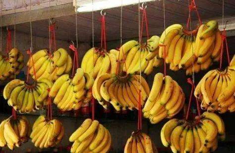 新加坡生活成本太高?一定是你打開的方式不對!