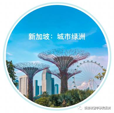 【移民資訊】新加坡爲什麽是衆多移民歐美多年的華人回流首選之地