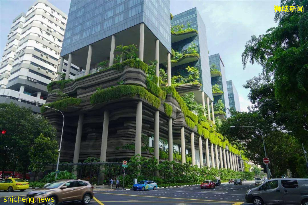 为啥老人、年轻人、孩子都要去这!这究竟有什么好