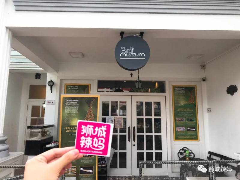 亞洲第一的螞蟻博物館居然在新加坡