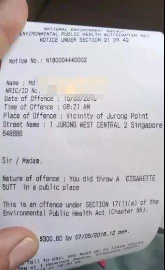 實拍!新加坡這個網紅套上小馬甲,淪落路邊掃垃圾