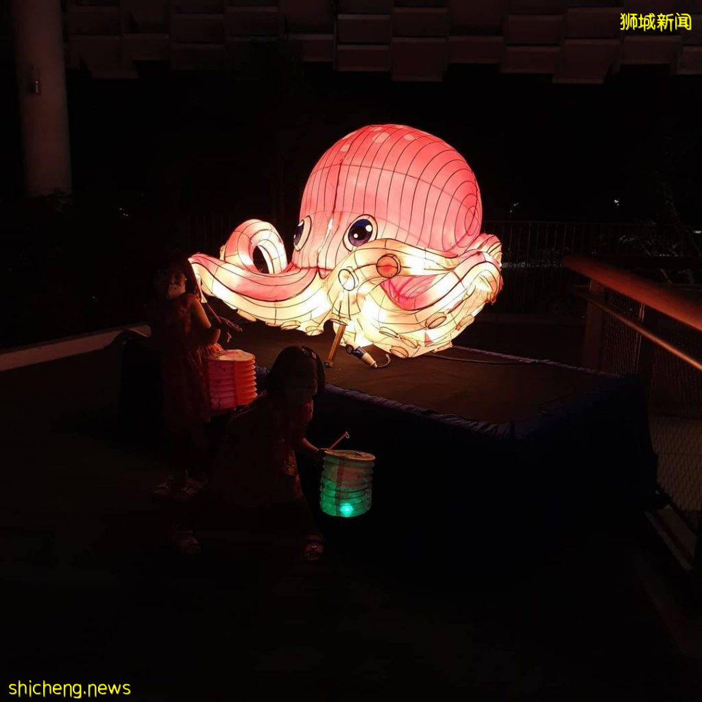 夜太美！Jurong Lake Gardens中秋灯饰、展览至10月3日🏮鲨鱼八爪鱼灯笼、呆萌可爱🐙 