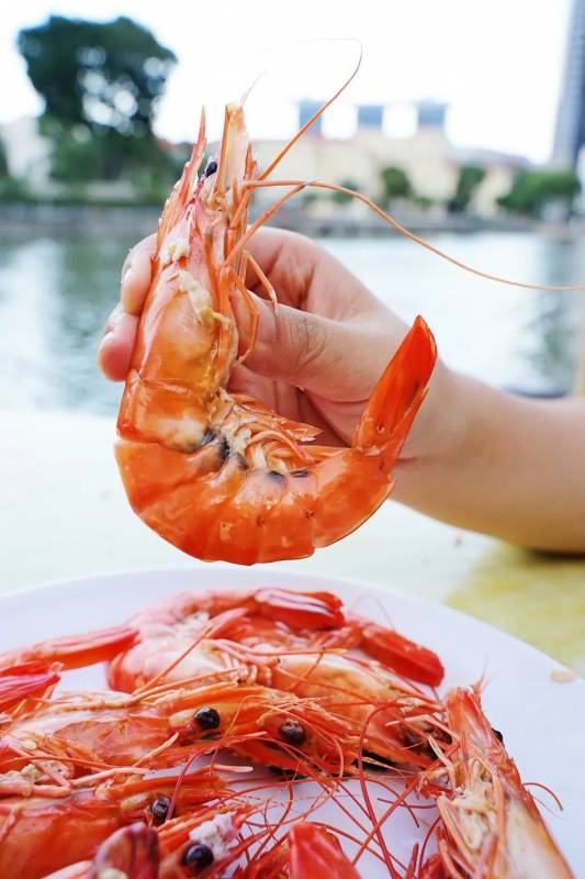 波士頓龍蝦免費吃!新加坡這家人均不過30的海鮮店又要逆天了