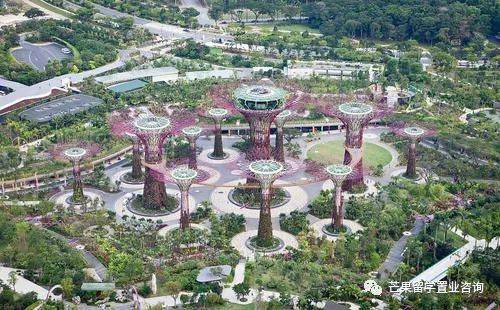 生育率僅1.1創新低、人口危機下的新加坡,要對這些外國人放開PR政策