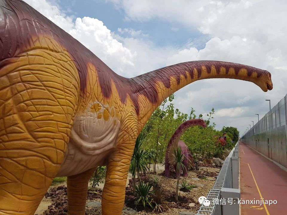 恐龙模型被女子当马骑，开放5天就少了4颗牙齿