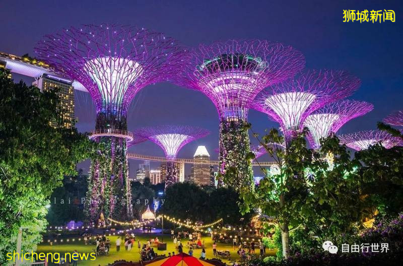 疫情過後,去新加坡不可錯過的16個體驗!