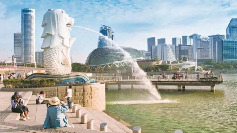 獅城野豬太胖被卡欄杆直嚎~8名前線抗疫女姓獲年度傑出獎