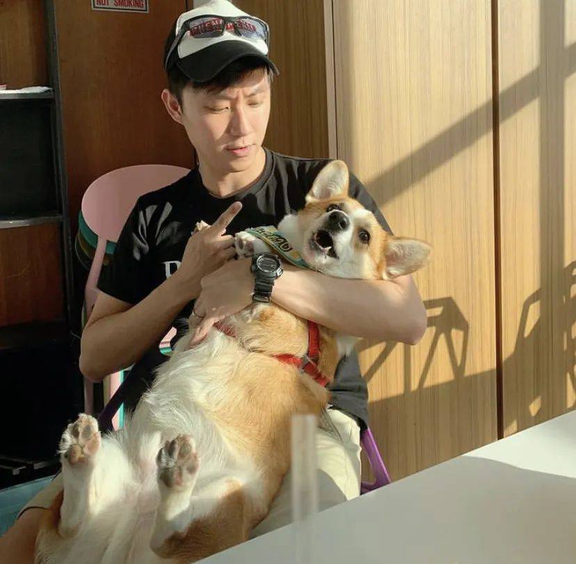 治愈系的它看一眼就愛不釋手！新加坡撸貓撸狗地圖來咯