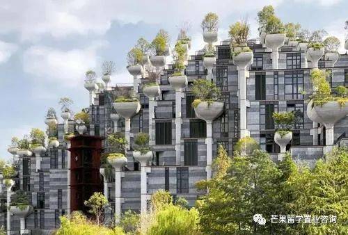 全年经济下跌5.4%、近17万人失业、一大波企业倒闭!新加坡至暗时刻仍在持续