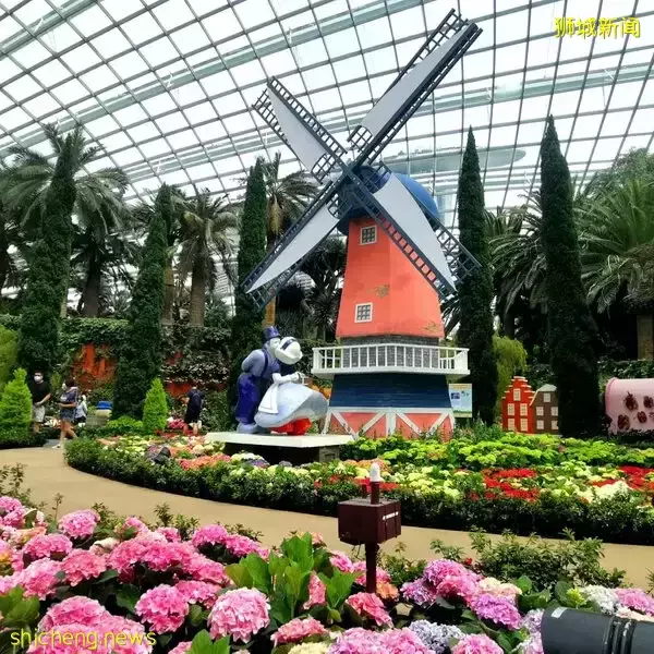 濱海灣花園首次以繡球花爲主題 展出特需人士畫作