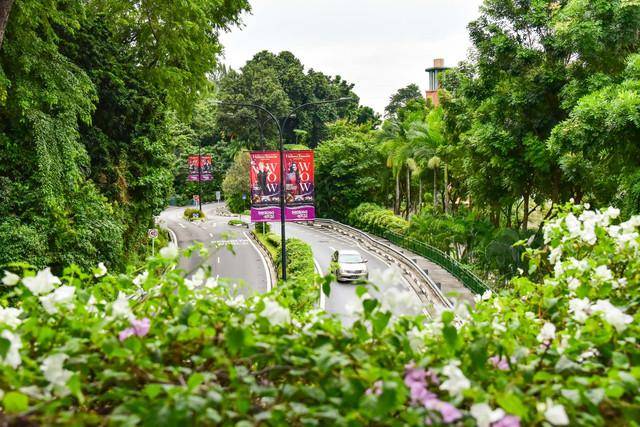 新加坡，一个色彩斑斓的文明国度