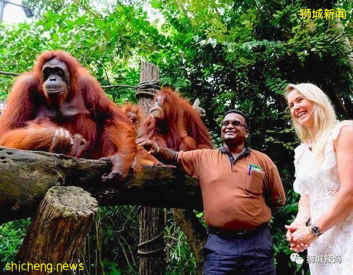 我們爲什麽愛新加坡？這56個理由夠不夠