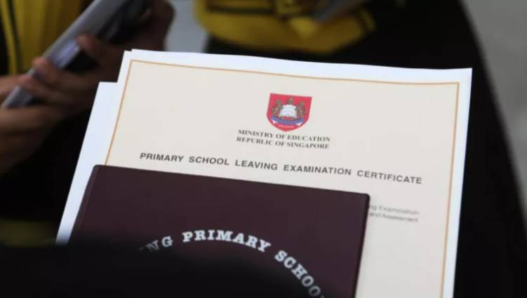 新加坡 影響著我們的一波政策