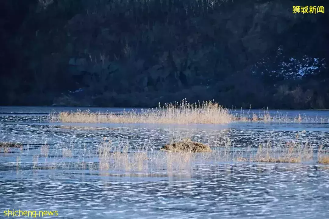 在新加坡遭遇突如其来的家庭变故，让我心乱如麻