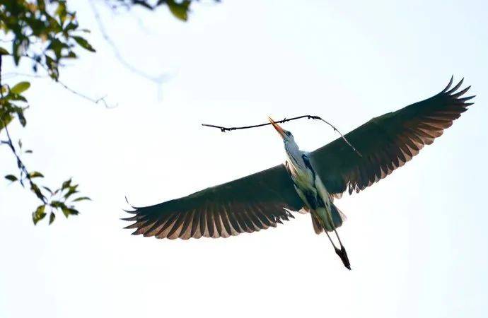 新加坡最好玩的海灘公園!趕海、騎馬、劃艇、樹籬迷宮、燒烤露營,超適合家庭出遊