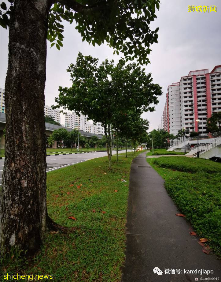 “打疫苗没有想像中痛”,附接种疫苗的详细流程