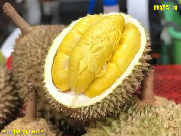 沖鴨！新加坡榴梿季來啦，Top10榴梿攤地址奉上!