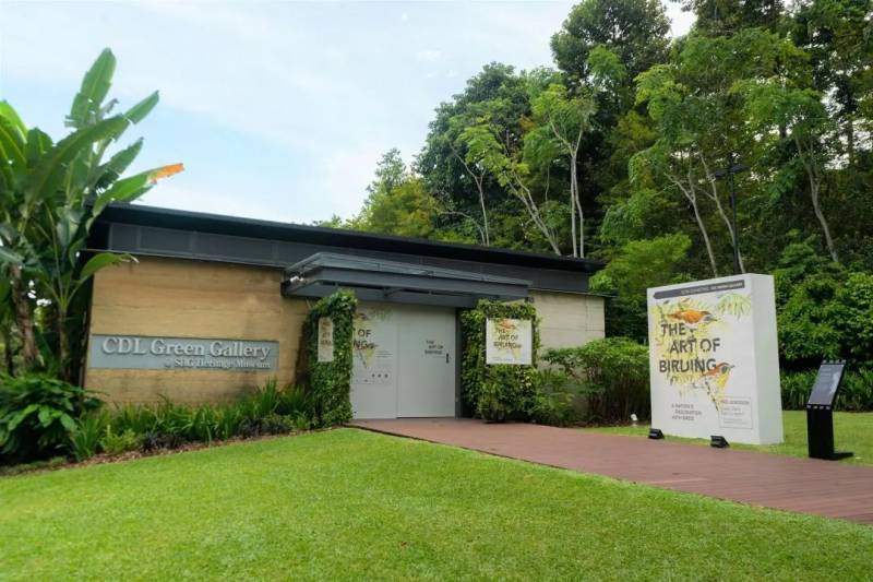 不喜歡人擠人？來新加坡植物園看聖誕燈飾、“世界之樹”吧！入場免費