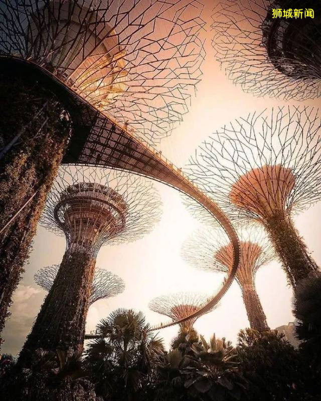 新加坡海灣公園 / Grant Associates