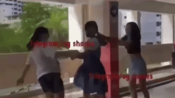 新加坡女学生停车场被同学暴打,专家提醒:女学生已习惯被欺负