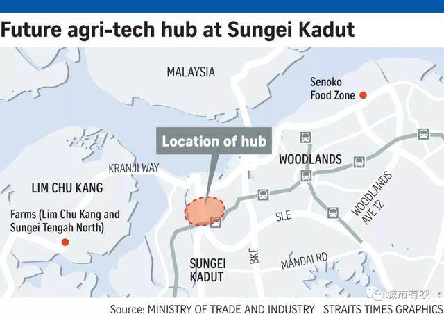 新加坡重視農業科技發展,對中國農業有何啓示