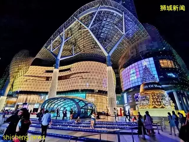 看不見的“右手”和看得見的“左手”—近距離看新加坡