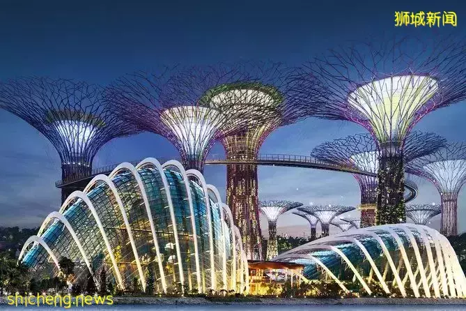 新加坡作为世界地图上的小红点, 为何却是全球财富“吸铁石”