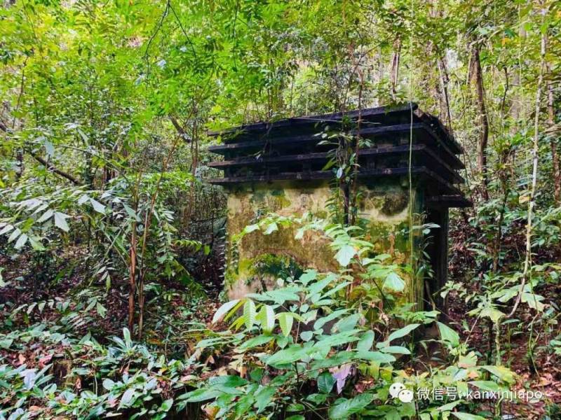 勇闯麦里芝被遗忘的神社,狂风暴雨下惊险求生