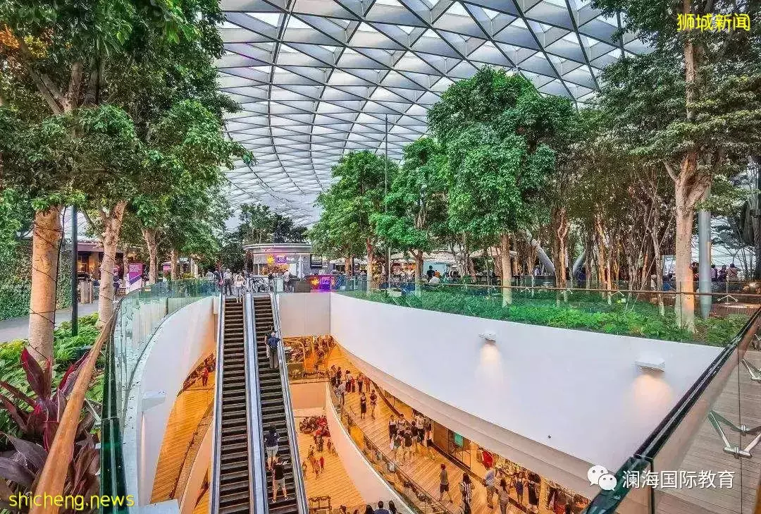 新加坡旅遊小妙招,用對省下一張機票錢