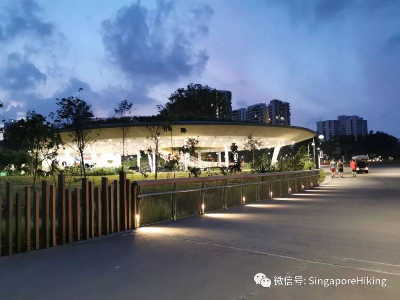 8月17日周六夕阳半马徒：南洋理工大学至裕廊湖畔花 NTU to Jurong Lakeside Gardens