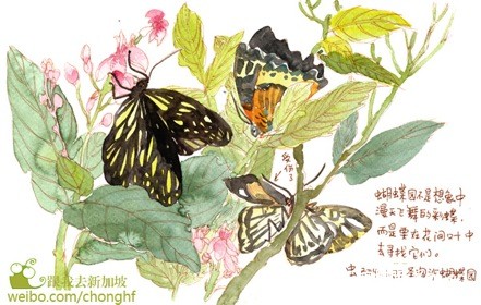 001OZGDMgy6KP9eC5pC98&690