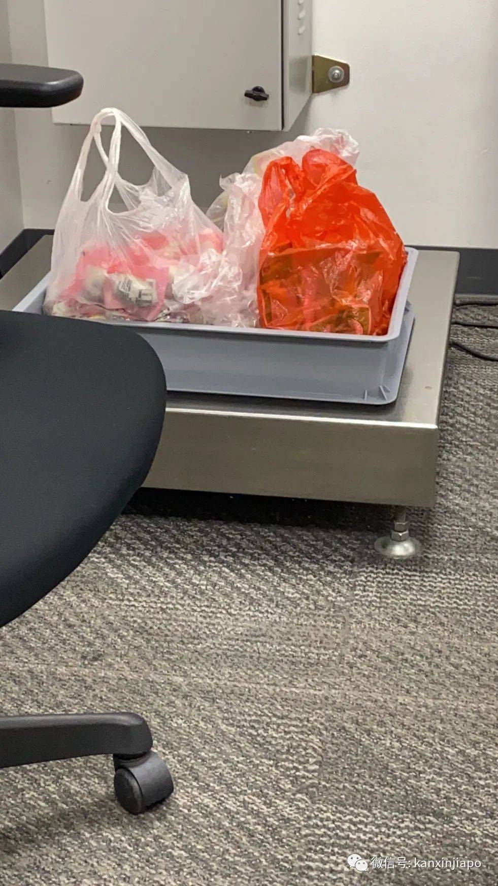 入境新加坡，这东西会被海关丢到垃圾桶里