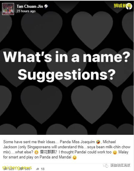 新加坡總理和民衆同歡慶：“新加坡制造”熊貓寶寶誕生了