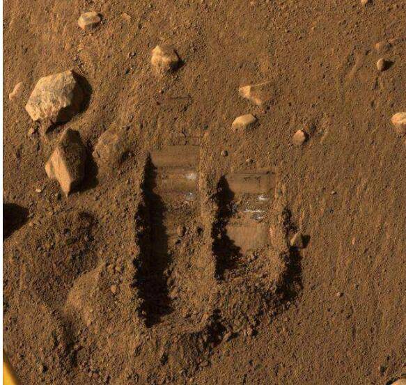 新加坡科学玩出“三体”,昆虫成太空餐、火星玩打印