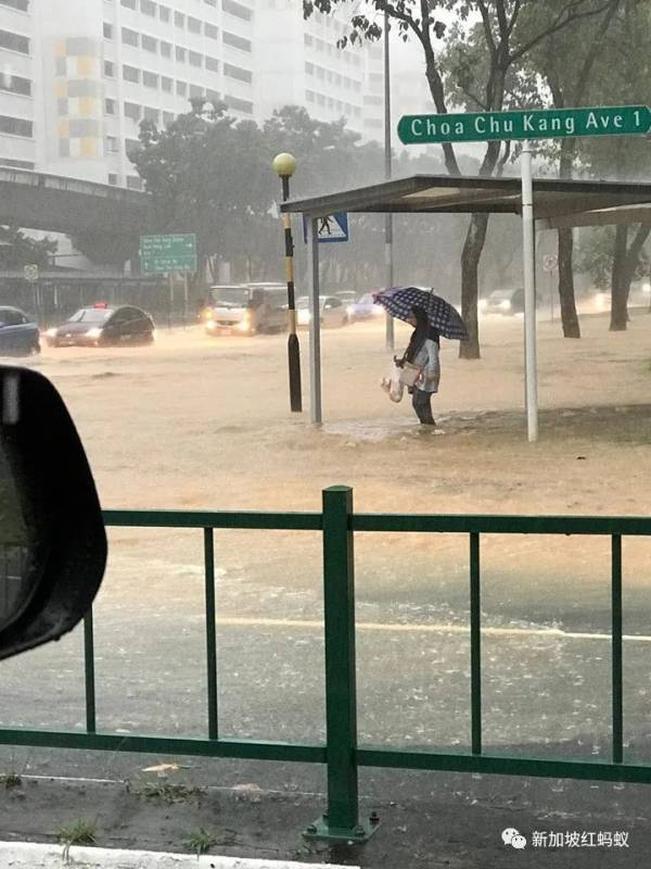 狮城最贴心的一道风景:无处不在的有盖走廊