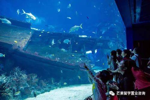 新加坡“親子娛樂”好去處盤點(1)