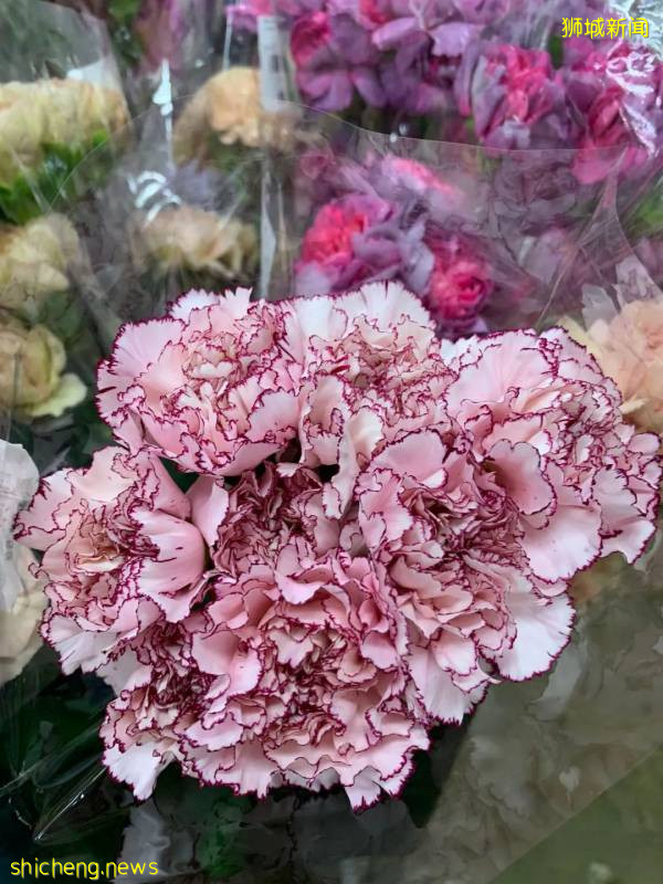 除了超市，原來新加坡還能在這些地方買到鮮花