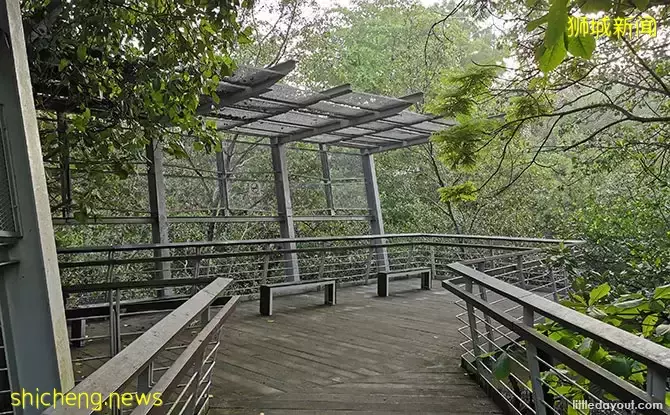 新加坡南部要建新公园,占地200公顷!这些地方太美了打卡必去