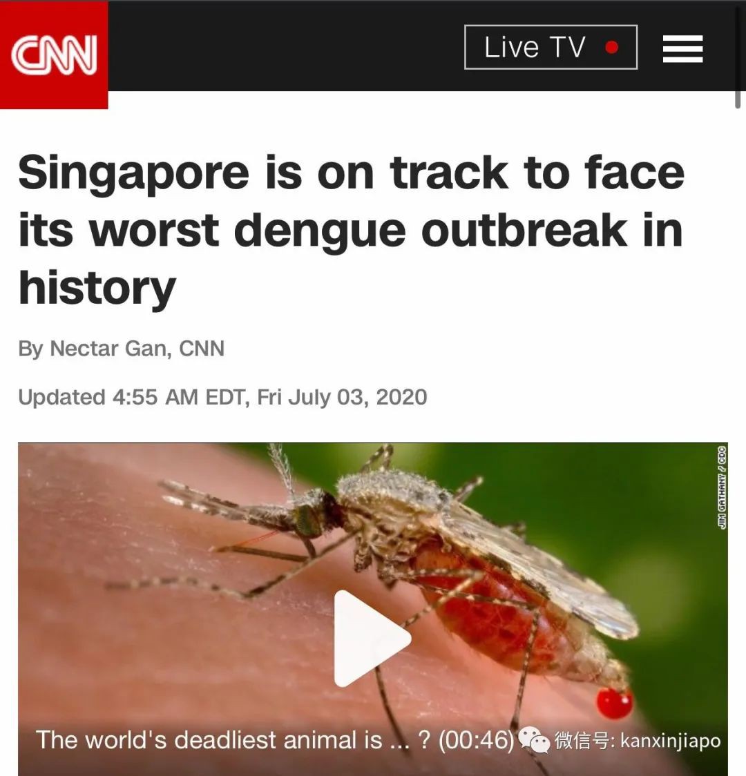 今增XXX 累计YYY | 祸不单行！新加坡爆发史上最严重骨痛热症，死亡人数攀至16人