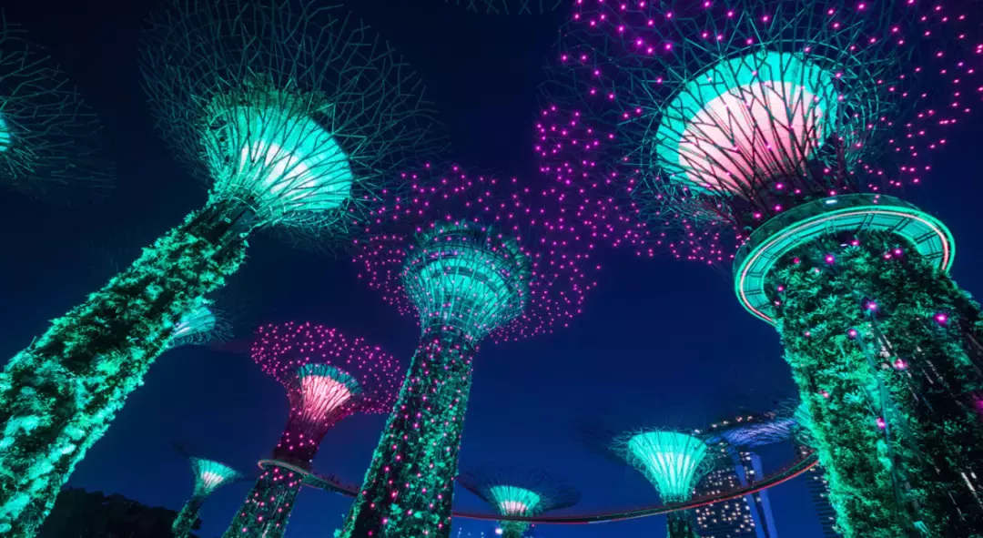 新加坡副總理：國際合作有助于對抗疫情