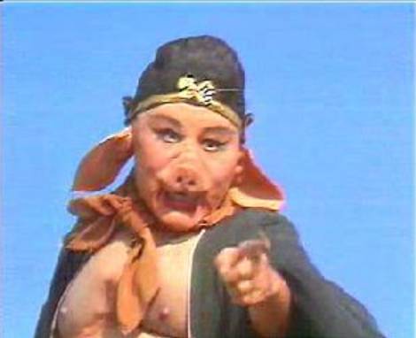 NParks将继续在榜鹅地区巡逻以寻找野猪,如果发现将对其进行诱捕并清除