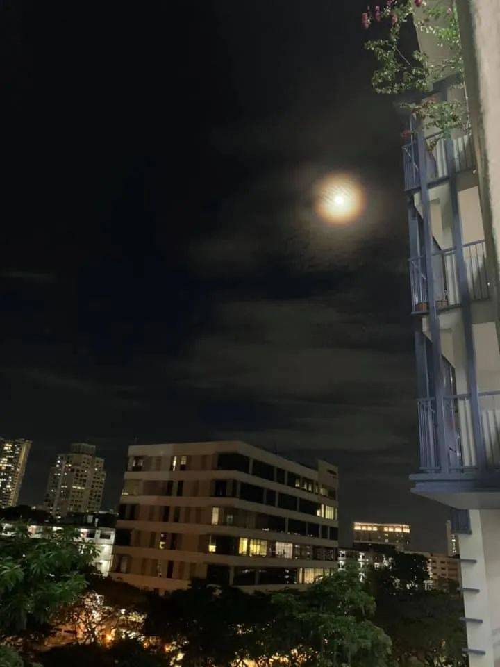 太美！新加坡驚現奇異彩虹月！全島人搶拍