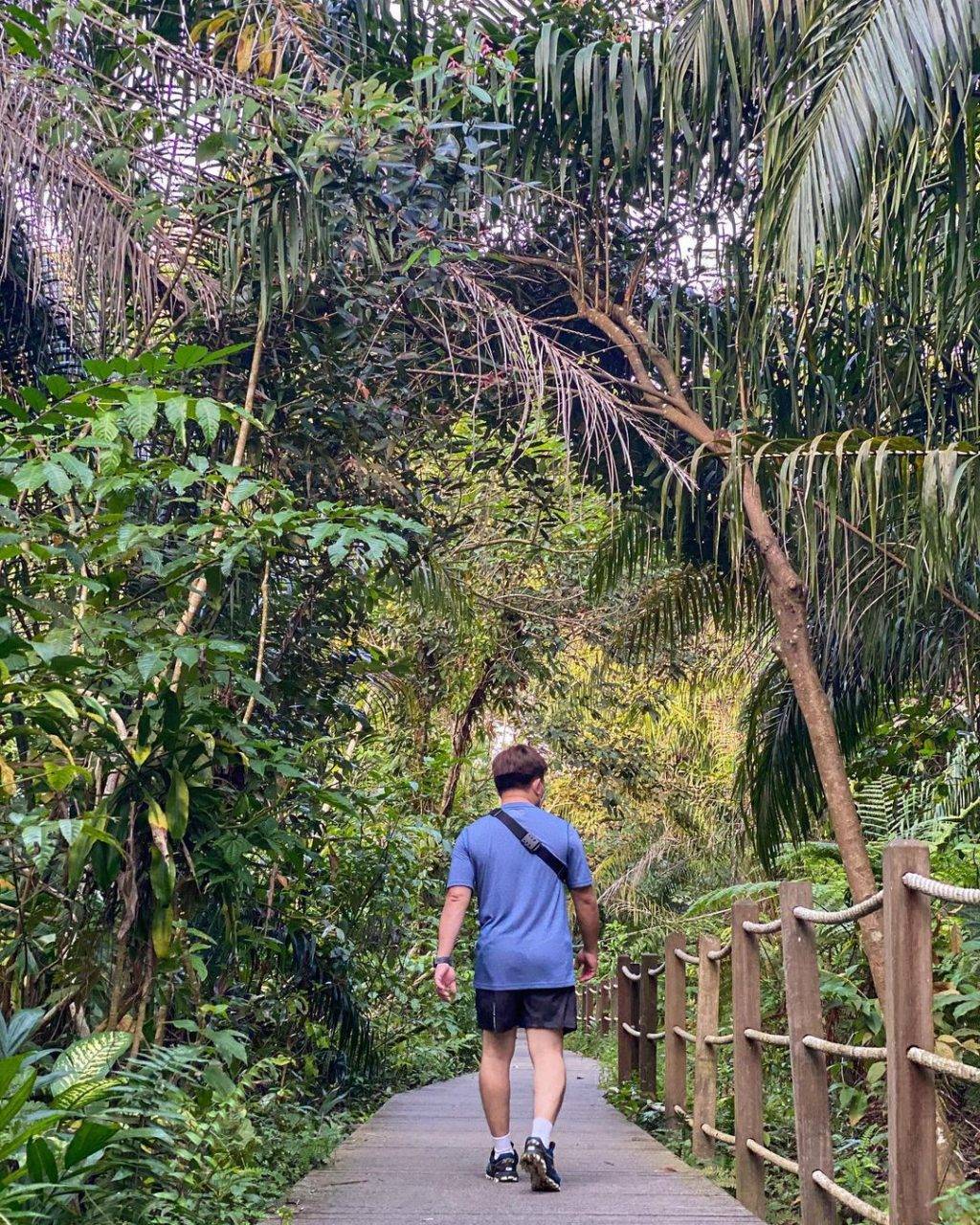 徒步吸氧去🍃Windsor Nature Park濕地公園，隱秘寶藏仙境✨ 3段徒步路徑、淡水溪流、沼澤棲息地