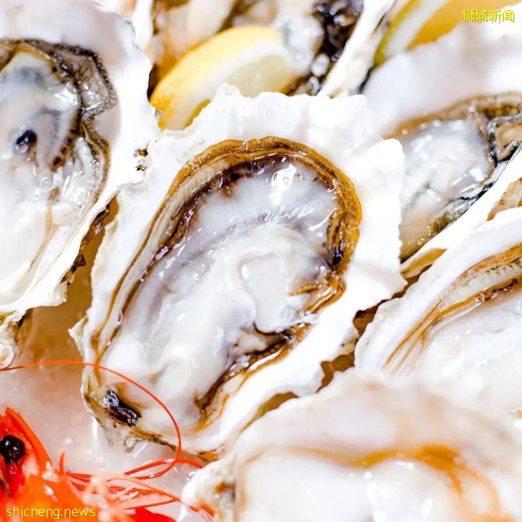 维也纳自助餐新开分店,锦鲤自助火锅火爆上线