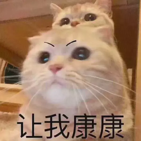 人人熟知的SingPass究竟是什麽，你了解嗎