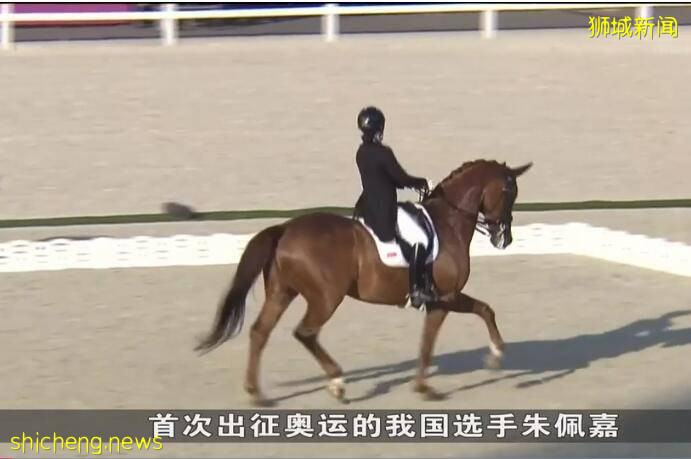 直击东京！新加坡奥运军团接连折戟沉沙！仅女乒一枝独秀