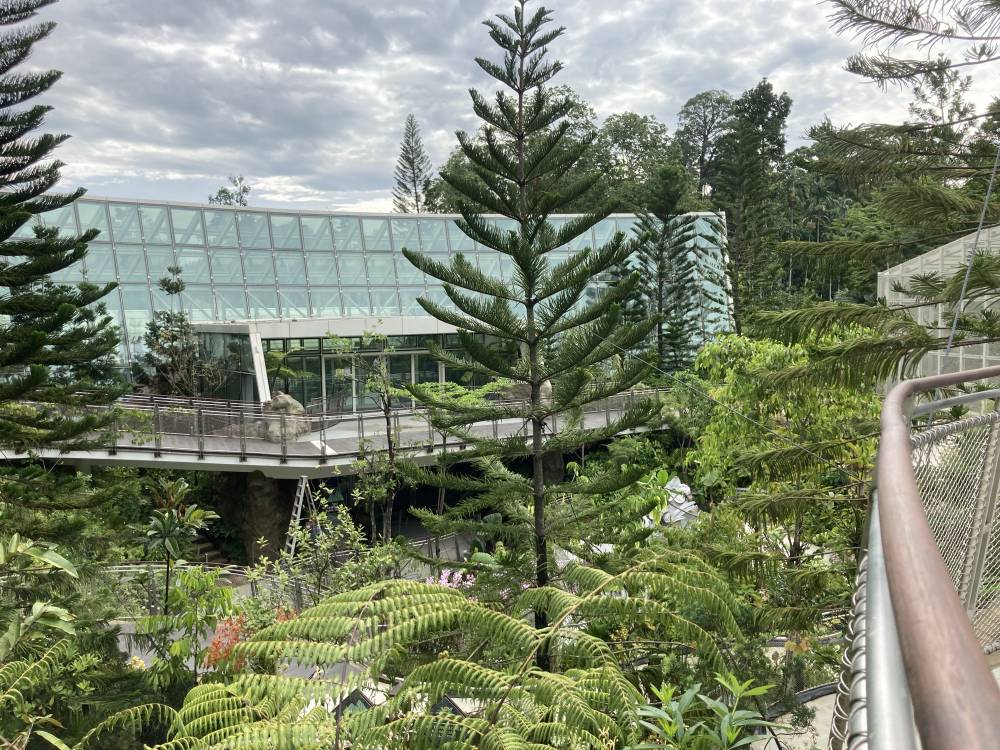 厲害了！新加坡封城一周年之際，狂開10個新景點准備迎外國遊客