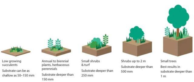 新加坡人对绿色有多着迷?公交车顶种草,大楼里植树,实在绝了